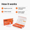 Ombre Gut Health Test Kit - Probiotic Recommender at Home Test for Women & Men - Detailed Custom Gut Microbiome Analysis for Digestive, Immune and Mental Health with Food Suggestions