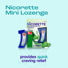 Nicorette 4 mg Mini Nicotine Lozenges to Help Stop Smoking - Mint Flavored Stop Smoking Aid, 1-Pack, 81 Count, Plus Advil Dual Action Coated Caplets with Acetaminophen, 2 Count