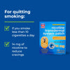 Rite Aid Nicotine Transdermal System Patch, Step 2, 14mg - 14 ct, Nicotine Patches Step 2 | Quit Smoking, Quit Smoking Aid | Nicotine Patch | Bonus Behavioral Support Program Information Included