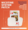 Rugby Clear Nicotine Patches - Transdermal System Patch - Smoking or Vaping Quitting Aid - Step 1-21mg - 14 Count