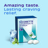 Nicorette 2 mg Nicotine Gum to Help Quit Smoking - White Ice Mint Flavored Stop Smoking Aid, 20 Count