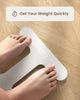 RENPHO Scale for Body Weight, Bathroom Scales for Weight, Weighing Machine with LED Display, Highly Accurate to 0.1lb, Upgraded Batteries Included, 400 lbs/180kg Capacity, White, Core TS