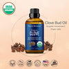 Organic Clove Essential Oil 30 ml - Pure, Undiluted - Clove Oil for Tooth Ache Ease - Soothes Sore Muscles - Clove Bud Essential Oil for Teeth, Gums, Toothache, Skin Use and Hair Care - Nexon Botanics