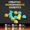 Nutravita Creatine Monohydrate Gummies for Men & Women-5g of Creatine Monohydrate per Serving - Sugar Free,Vegan,Blueberry Pineapple Flavor, 120 Count