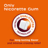 Nicorette 2 mg Nicotine Gum to Help Stop Smoking - Cinnamon Surge Flavored Stop Smoking Aid, 160 Count