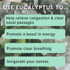 MOX? Eucalyptus Essential Oil Nasal Inhaler, Sinus & Congestion Relief, Daily Relaxation, Stress Relief, Therapeutic No-Mess Aromatherapy, Pure and Natural, Made in USA (3 Pack)