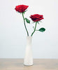 Tall Conic Composite Plastics Flower Vase, Small Bud Decorative Floral Vase Home Decor Centerpieces, Arranging Bouquets, Connected Tubes (Wide Caliber)