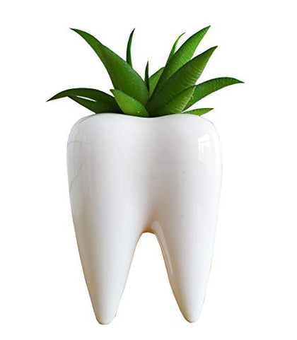 Cuteforyou Succulent Pots,Cute 3.93 Inches Tall Tooth Shaped Ceramic Indoor Air Plant Holder Flower Planters-Plants Not in Included