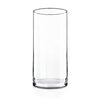 CYS Excel Clear Glass Cylinder Vase (H:9