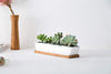 Kipokalor 11.1x2.36x1.77inch Long Rectangular Modern Minimalist White Ceramic Succulent Planter Pot with Saucer for Office,Desk,Window.