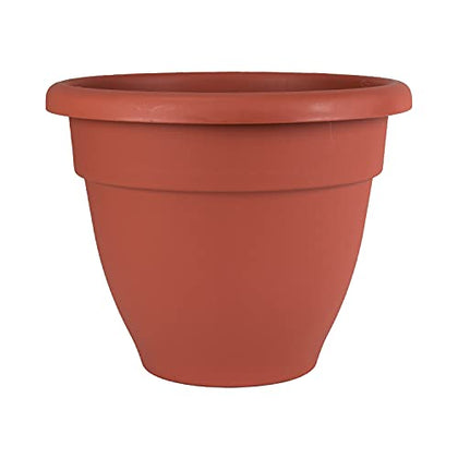 The HC Companies 6 Inch Caribbean Planter - Lightweight Indoor Outdoor Plastic Plant Pot for Herbs and Flowers, Clay