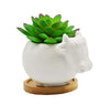 Cuteforyou Succulent Pots,Cute 4.72 Inch Indoor Animal Cow Shaped Cartoon Ceramic Succulent Cactus Flower Pot with Bamboo Tray -Plant Not Included