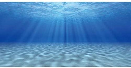 AWERT Undersea Theme Aquarium Background Sunshine Underwater World Fish Tank Background 30x18 inches