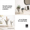 Umbra - 1004372-524 Trigg Desktop Planter Vase & Geometric Container-for Succulent, Air, Mini Cactus, Faux Plants and More, Desk, White/Brass