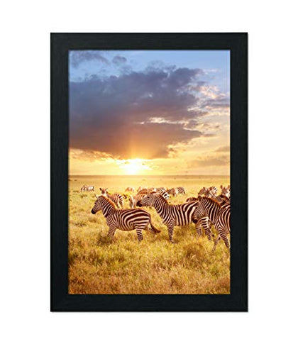 JD Art Gallery Poster Frame 12x18 Black, Handcrafted with Eco-friendly Wood and Polished Plexiglass, Flexible Hanging in Horizontal or Vertical Format and Hanging Hardware Included