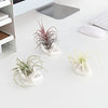 Dahey Air Plant Holder Cute Ceramic Mini Hand Shape Stand Airplants Tillandsia Small Container Pot Plant Decorative Home Decor for Desk Table Shelf,White,1 Pack