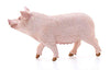 Schleich Farm World Pig Educational Figurine for Kids Ages 3-8