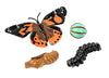 Insect Lore Giant Butterfly Garden with Habitat, Voucher, Green/White