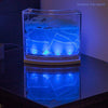 NAVAdeal Ant Farm Habitat for Kids W/LED Light - Great Educational & Science Kit with Nutrient Blue Gel, Observing Ants Create 3D Tunnels to Study Ants Behaviors & Ecosystem (Live Ants not Included)