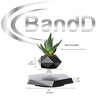 BandD Levitating Plant Pot - Floating Plant Pot for Small Plants. Levitating Decor for Home & Office . Magnetic Floating Levitating Display (Black)