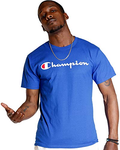Champion Men's Classic Jersey Script T-Shirt, Surf the Web2, X-Large