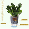 Vanavazon 6 Inch Self Watering Planter Pots for Indoor Plants, 3 Pack African Violet Pots with Wick Rope-Grey