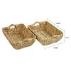 FairyHaus Wicker Baskets with Handles, Natural Wicker Basket for Organizing Shelves, Small Hand Woven Water Hyacinth Storage Baskets Set of 2, 14.96x10.04x4.73