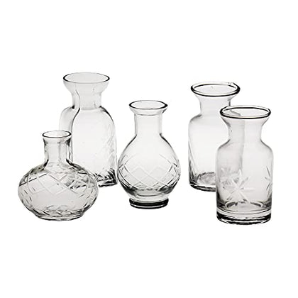 ART & ARTIFACT Mini Vases for Flowers - Small Glass Vases, Clear 5 Vase Set Single Bud Vases for Flowers, Room Decor - Clear