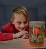 Hapinest Dinosaur Terrarium Kit with Light-up Volcano Garden - STEM Science Educational Toys and Gifts for Kids Boys and Girls Ages 5 6 7 8 9 10 Years Old and Up