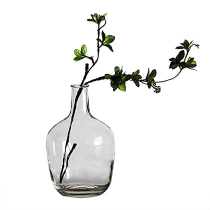 BUICCE Large Clear Glass Jug Vase Round Flower Decorative Bubble Floor Vase for Dining Table Farmhouse Centerpieces Decor