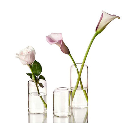 ZENS Glass Bud Vases Set of 3, Clear Hand Blown Small Vase for Flowers, Modern Cylinder Glass Vase for Wedding Reception Centerpieces Living Room Decorative.