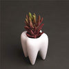 Cuteforyou Succulent Pots,Cute 3.93 Inches Tall Tooth Shaped Ceramic Indoor Air Plant Holder Flower Planters-Plants Not in Included