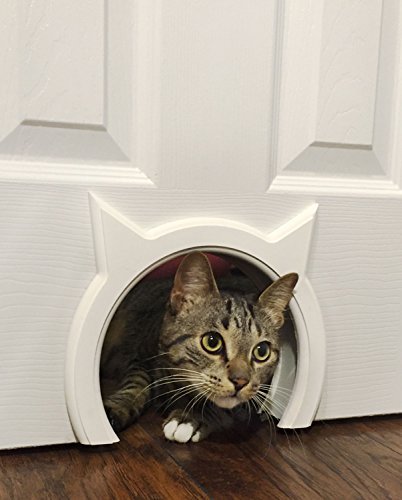 The Kitty Pass Cat Door for Interior Door - Cat Hole Kitty Door for Hidden Litter Box - Pet Door for Cats up to 21 lbs - Semi Gloss White Cat Door Interior Door