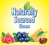 Lil Critters Fiber Daily Gummy Supplement for Kids, for Digestive Support, Berry and Lemon Flavors, 90 Gummies