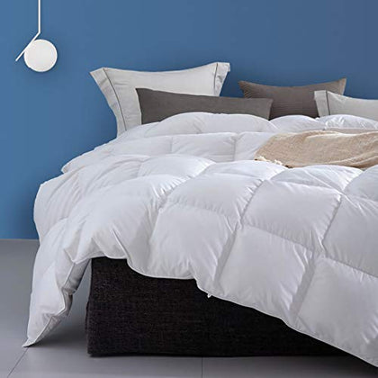 Dafinner Organic Feathers Down Comforter Twin Size Duvet Insert for All-Seasons | 100% Cotton, 45oz Feathers & Down Medium Warm Quilted Summer-Winter Bed Blanket (68x90, Ivory White)