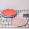 Durable and Reusable 9.75-inch Colored Plastic Dinner Plates set for Parties, Set of 6, Dishwasher Safe, BPA Free
