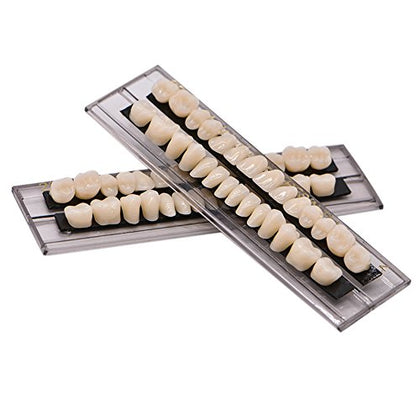Angzhili Dental Acrylic Resin Denture Tooth Kit False Tooth For Halloween Horror Prop 23 A2(28 Pcs/Set)