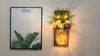 Rustic Wall Sconces Mason Jar Sconces Handmade Wall Art Hanging Design with Remote Control LED Fairy Lights and White Peony,Christmas Decor Gift Farmhouse Wall Home Decor Living Room Lights Set of Two