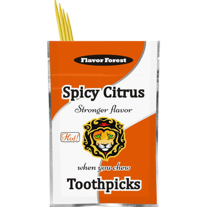 Spicy Citrus Flavored Cinnamon Toothpicks - 100ct