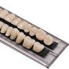 Angzhili Dental Acrylic Resin Denture Tooth Kit False Tooth For Halloween Horror Prop 23 A2(28 Pcs/Set)