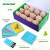 Dig Up Dinosaur Fossil Eggs, Break Open 12 Unique Eggs and Discover 12 Cute Dinosaurs, Easter Digging Toy for 3 4 5 6 7 8 9-12 Year Old Boys Archaeology Science STEM Gift