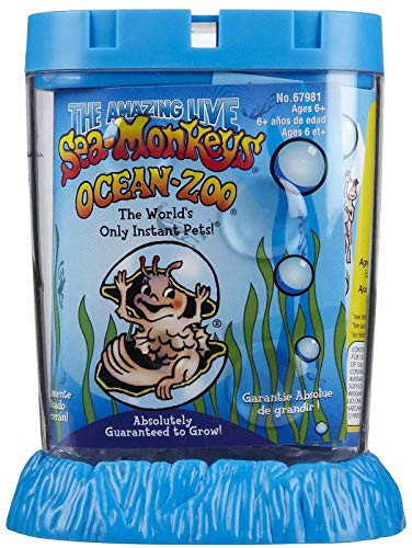 Schylling Sea Monkeys Ocean Zoo - Colors May Vary