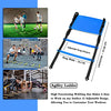 Speed Agility Training Set, Includes 1 Agility Ladder, 4 Steel Stakes, 1 Sports Headband,1 Jump Rope, 10 Disc Cones and Gym Carry Bag - Speed Training Equipment for Soccer Football Basketball (Blue)