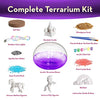 Bryte Light-Up Unicorn Terrarium Kit for Kids | All Inclusive - Castle, Fairy Garden Lights & More | Arts & Crafts, STEM Activities for Kids, Birthday Gifts, Boys & Girls Toys | Ages 4-10 Years Old
