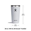 Hydro Flask 20 Oz All Around Tumbler Press-in Lid Agave
