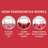 Parodontax Clean Mint Toothpaste For Gum Health, Helps Cavity Prevention, Anticavity And Antigingivitis - 3.4 Oz x 3