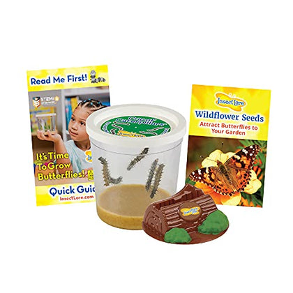 Insect Lore Cup of Caterpillars - Butterfly Kit Refill - Life Science & STEM Education