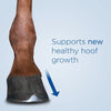 Formula 707 Hoof Health Equine Supplement 5lb Bucket - 80 Servings - Biotin, Amino Acids, and Minerals to Improve and Support Healthy Horse Hooves