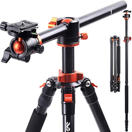 K&F Concept 94 Inch Camera Tripods 4 Section Ultra High Aluminum Professional Detachable Monopod Tripod with 360 Degree Ball Head Quick Release Plate for DSLR SLR Cameras T254A8+BH-28L (SA254T1)