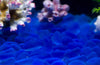 Gorgeous Aquarium Decorated with Aquarium Decorations Glass Beads Aquarium, 1LB Enough Decorative Gravel Rock Gravel Pebbles gem (Dark Blue)